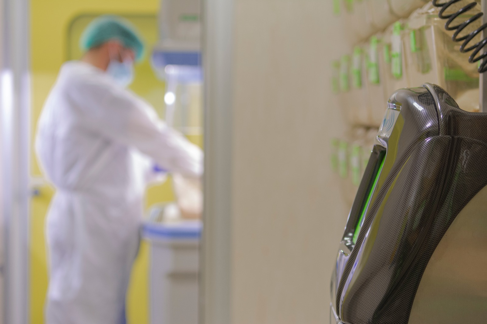 Biogem sperimenta vaccino a uso veterinario anti antrace