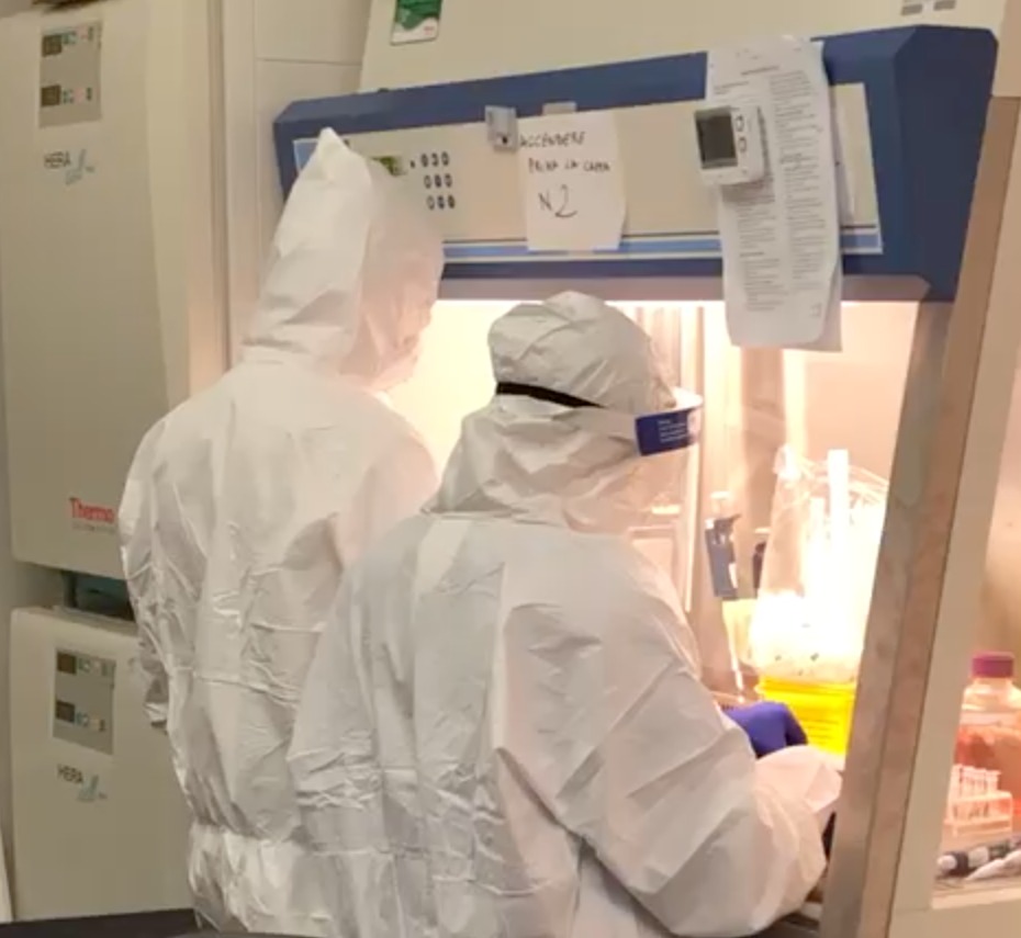 Studi Biogem su organoidi presentati da televisione nazionale