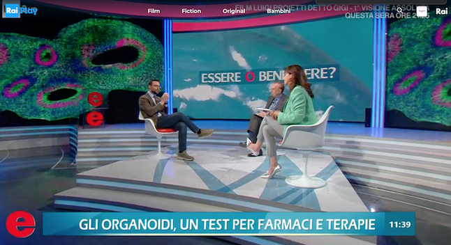 Gli organoidi di Biogem in diretta su Rai 3