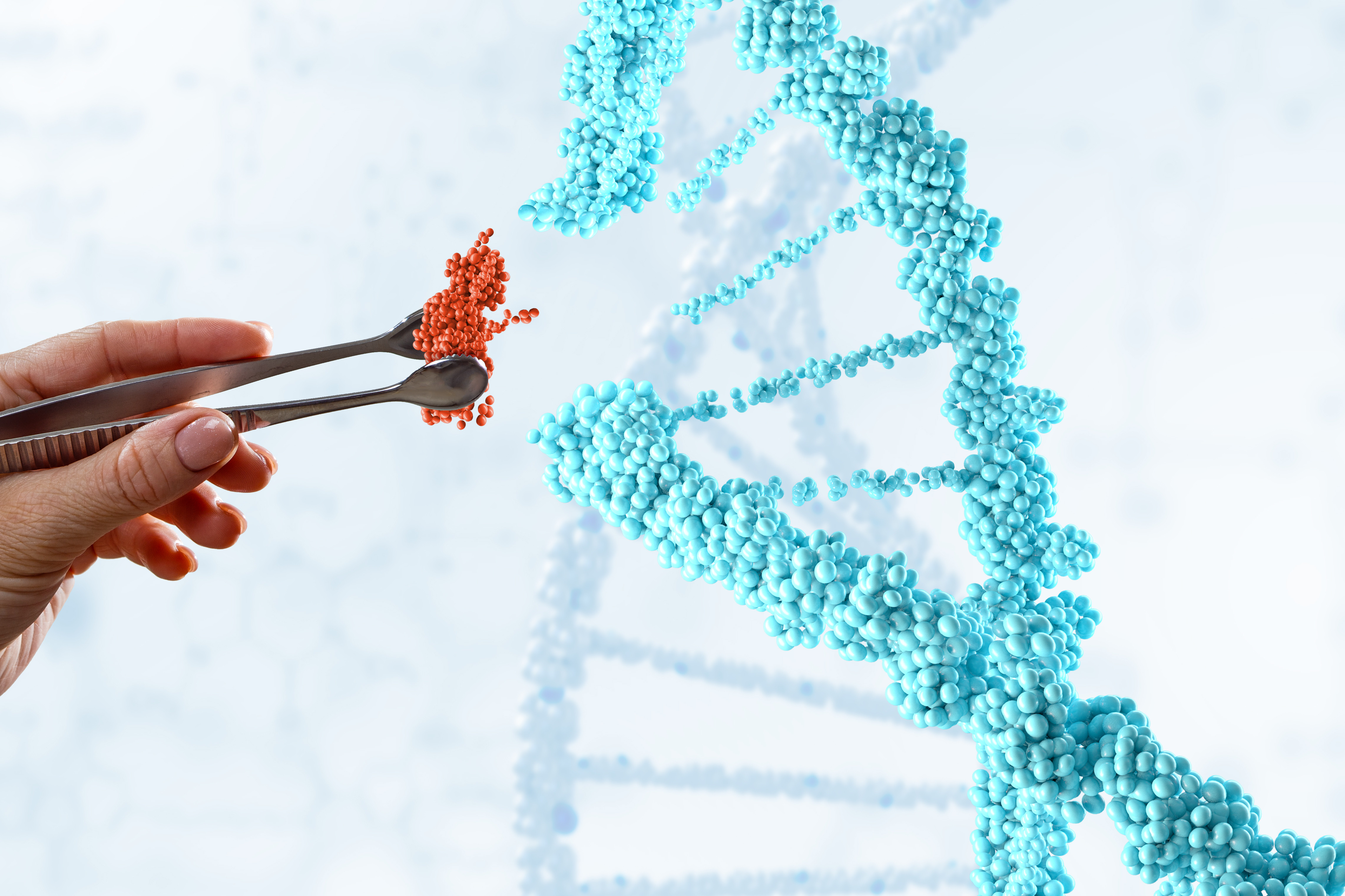 Più In Alto Degli Dèi