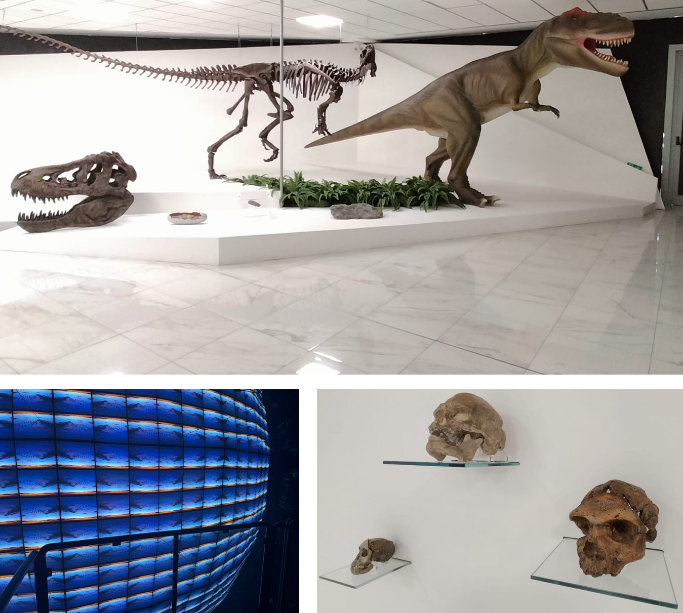 Oltre 1.600 visitatori al Museo BIOGEO da gennaio a luglio 2025