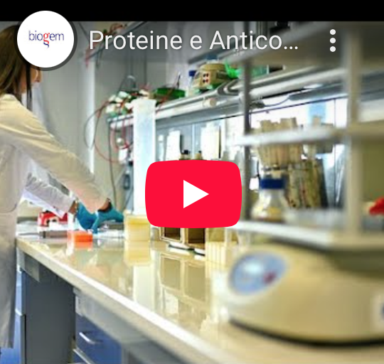 Proteine e Anticorpi Biogem