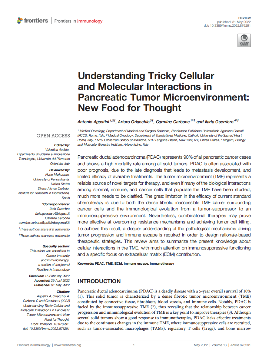 Schermata 2022 06 08 alle 15.33.22